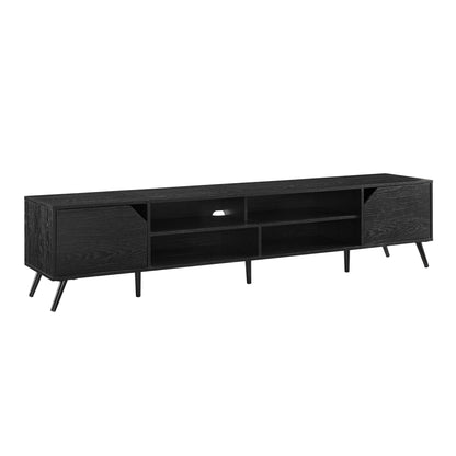 Contemporary 2 Door Minimalist TV Stand