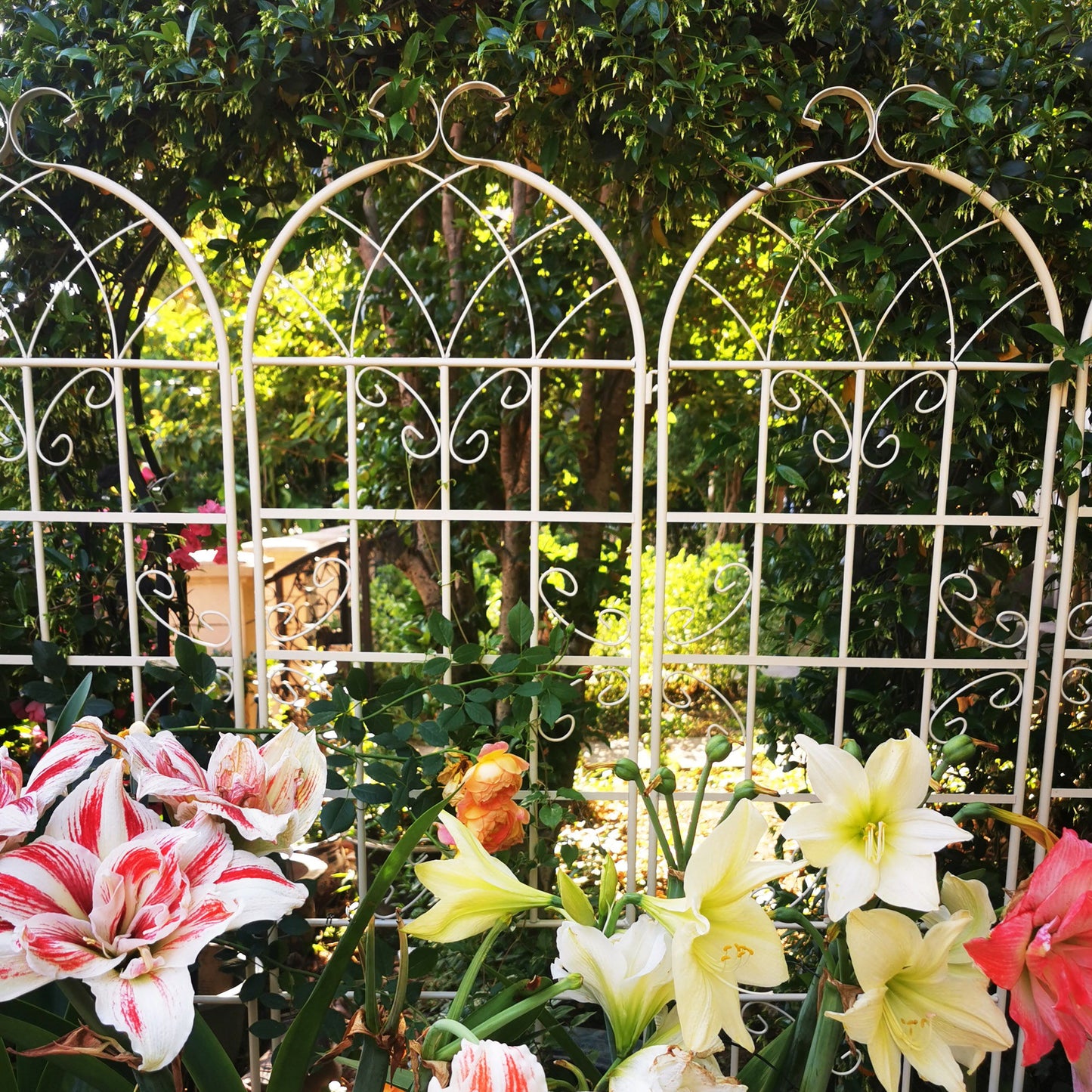 Metal Garden Rustproof Trellis For Climbing Plants Outdoor Flower Support