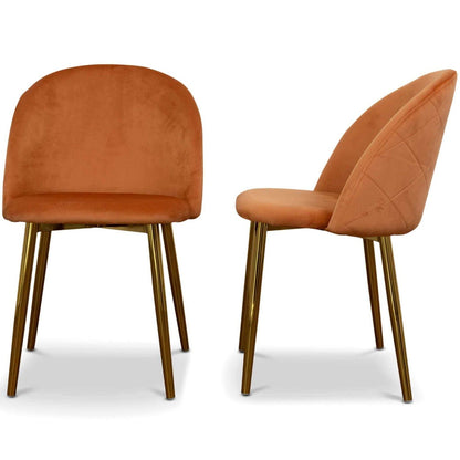 Marion - Mid Century Modern Dining Chair (Set of 2)