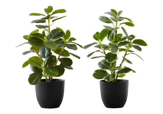 14" Tall, Artificial Plant, Ficus, Indoor, Faux, Fake, Table, Greenery, Potted, Decorative (Set of 2) - Green / Black