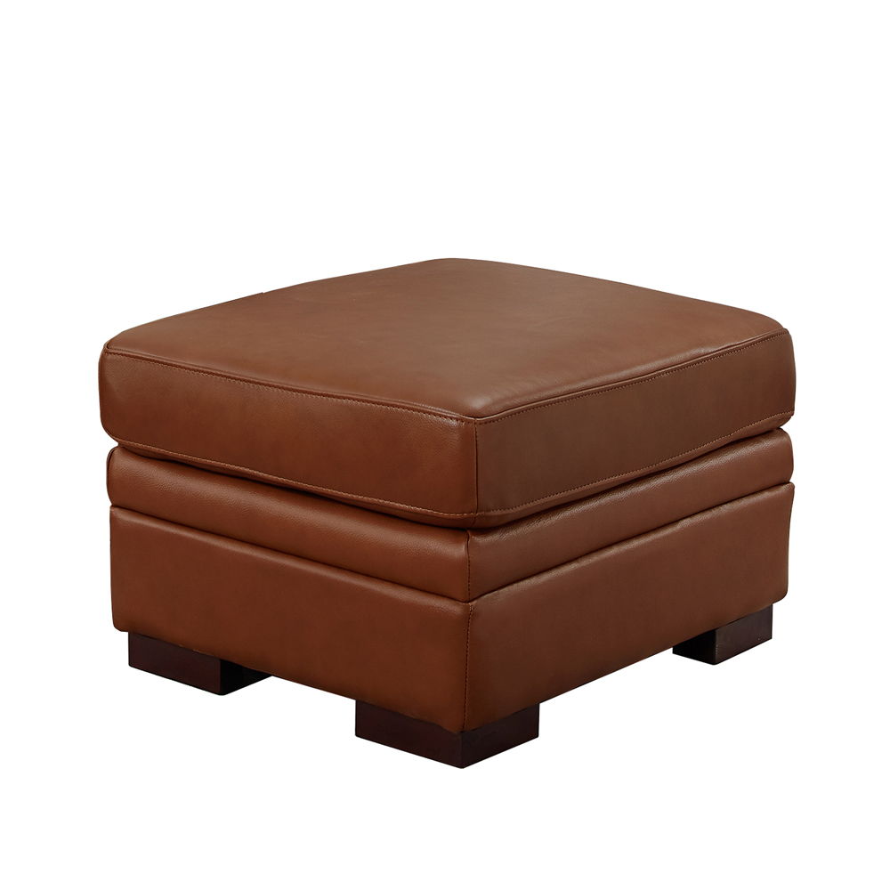 Dillon - Leather Ottoman